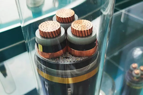 Visapusiškas aptarnavimo palaikymas